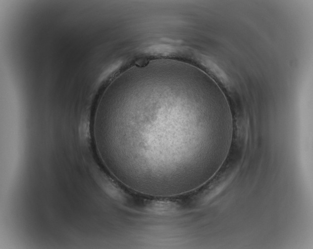 X0000115820399200911201449