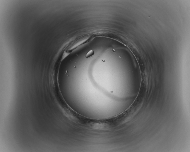 X0000115820400200911201449