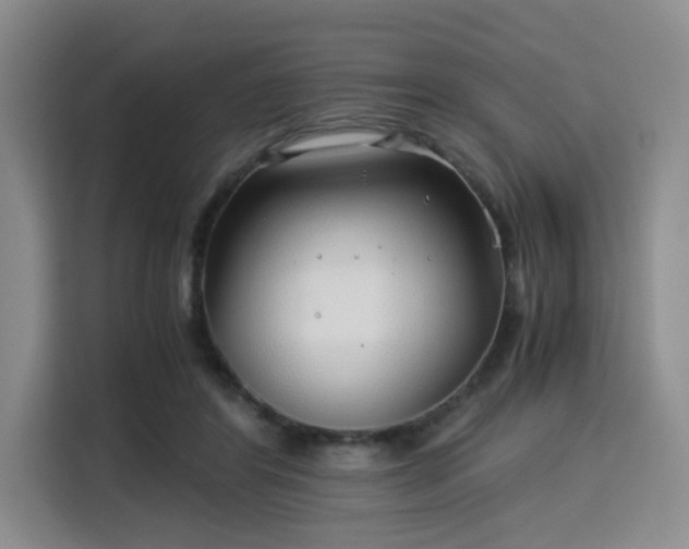 X0000115820404200911201449