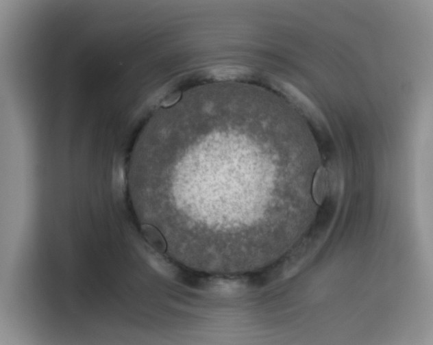 X0000115820405200911201449