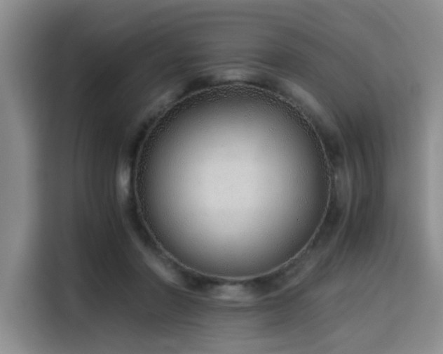 X0000115820406200911201449