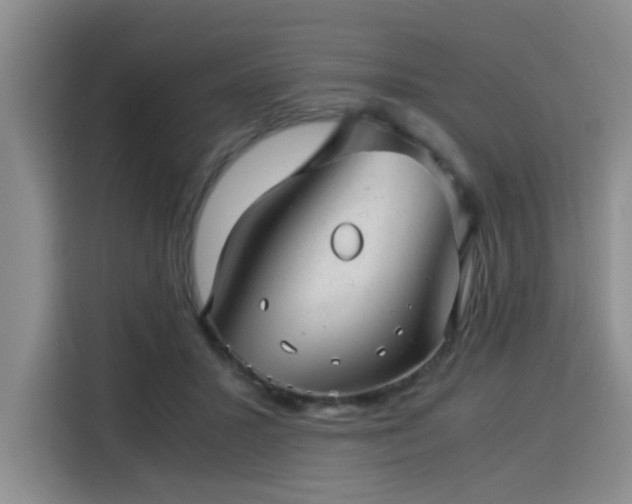 X0000115820407200911201449