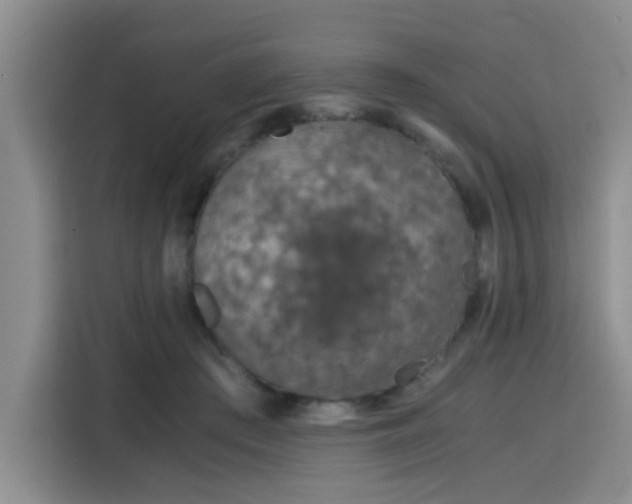 X0000115820409200911201449