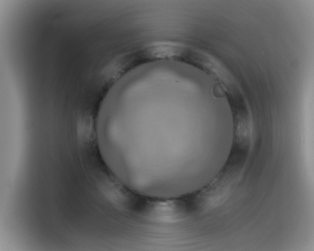 X0000115820411200911201449