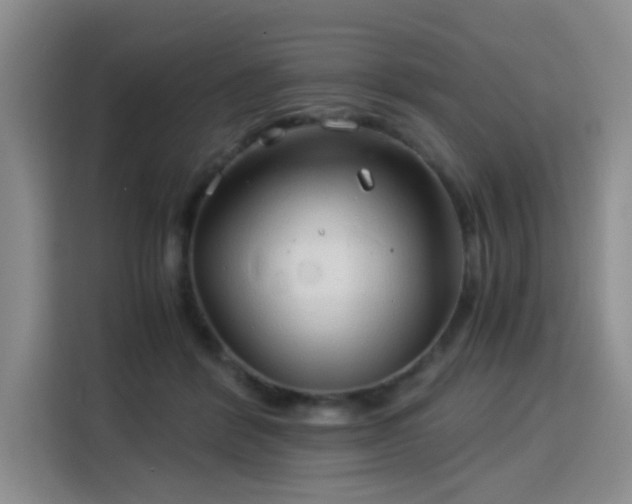 X0000115820412200911201449