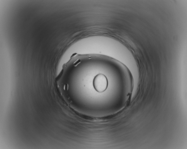 X0000115820413200911201449