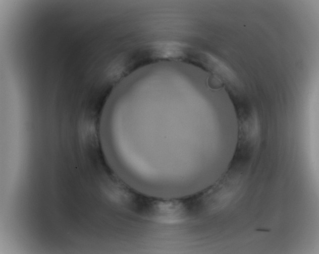 X0000115820415200911201449