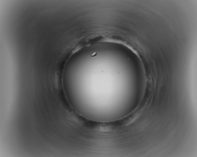 X0000115820416200911201449