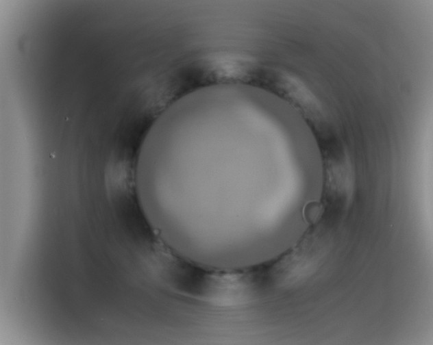 X0000115820419200911201449