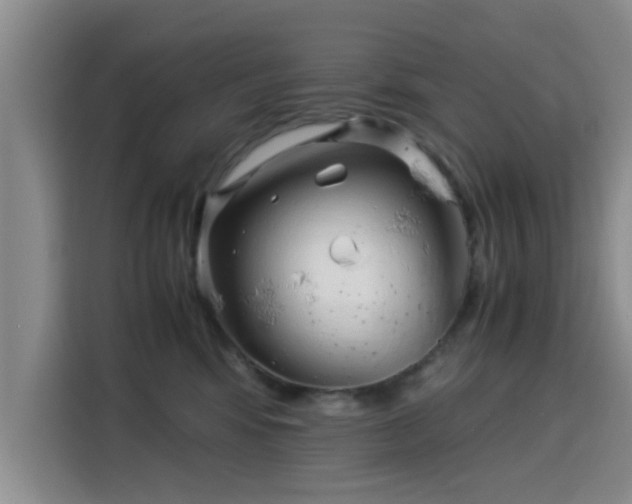 X0000115820424200911201449