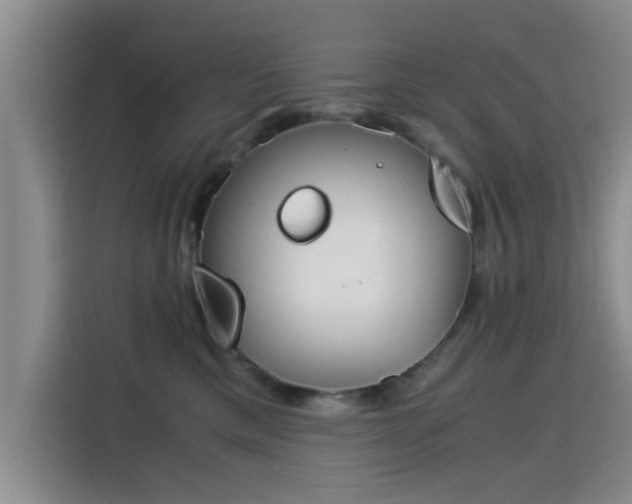 X0000115820425200911201449