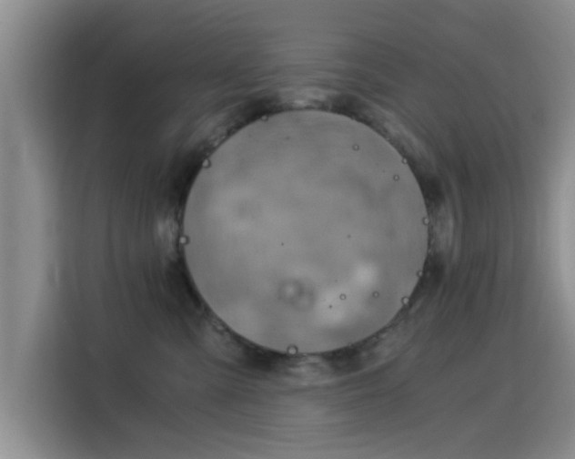 X0000115820427200911201449