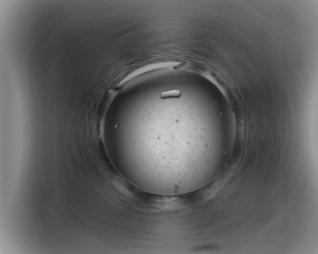 X0000115820428200911201449