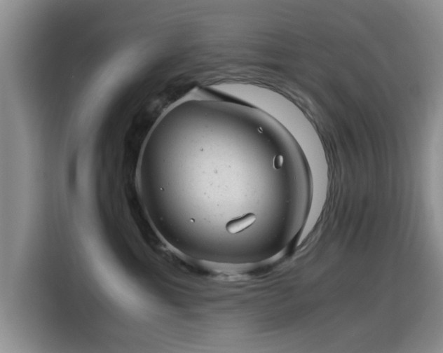 X0000115820429200911201449