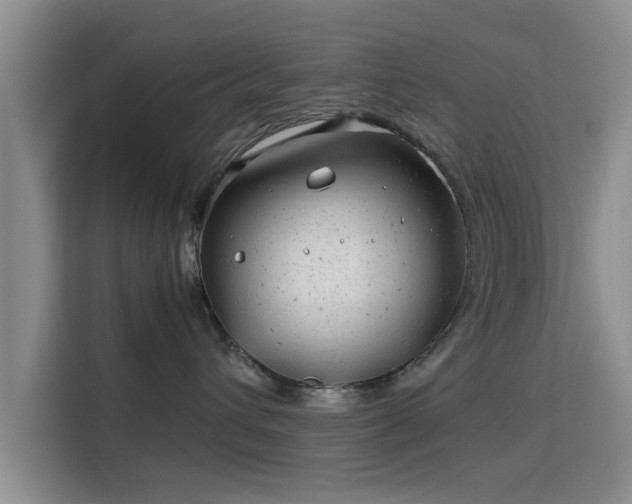 X0000115820432200911201449