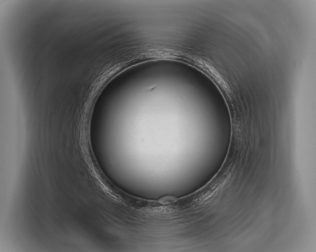 X0000115820433200911201448