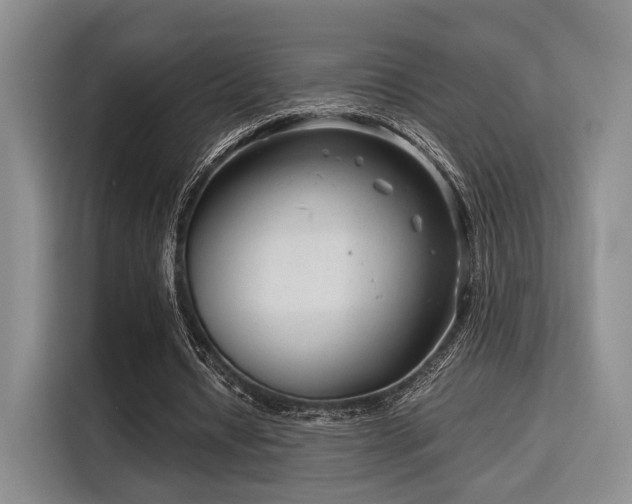 X0000115820434200911201448