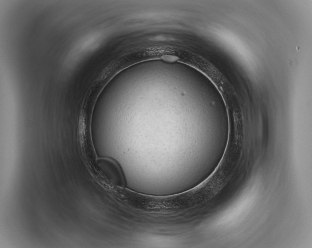 X0000115820435200911201448