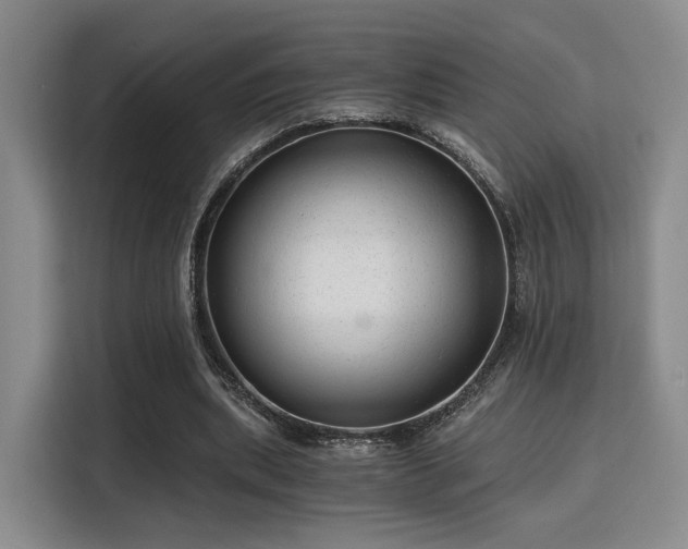 X0000115820439200911201448