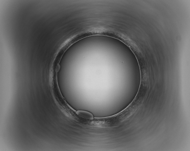 X0000115820440200911201448