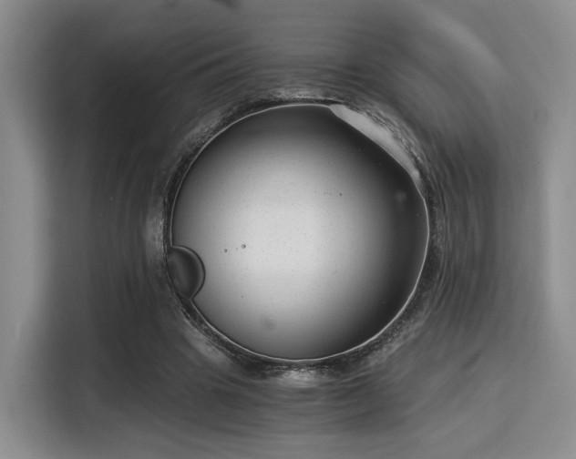 X0000115820441200911201448