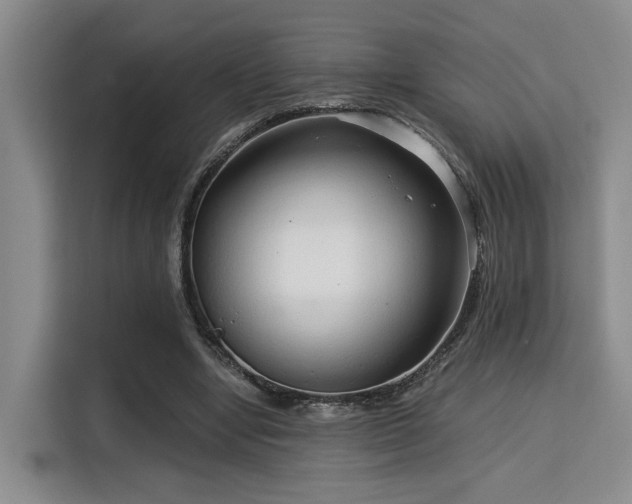 X0000115820442200911201448