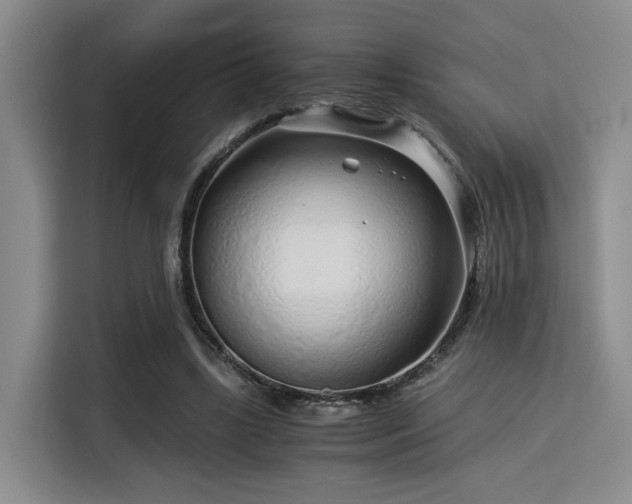 X0000115820443200911201448