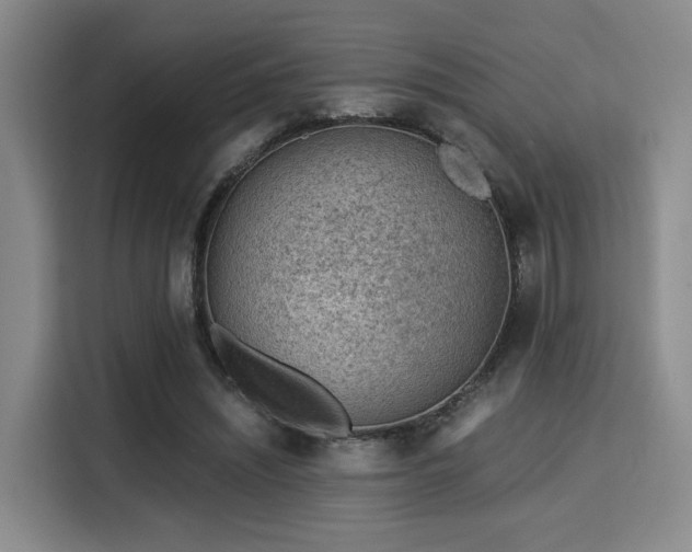 X0000115820444200911201448