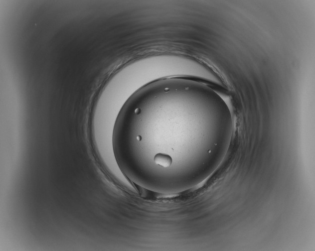 X0000115820445200911201448