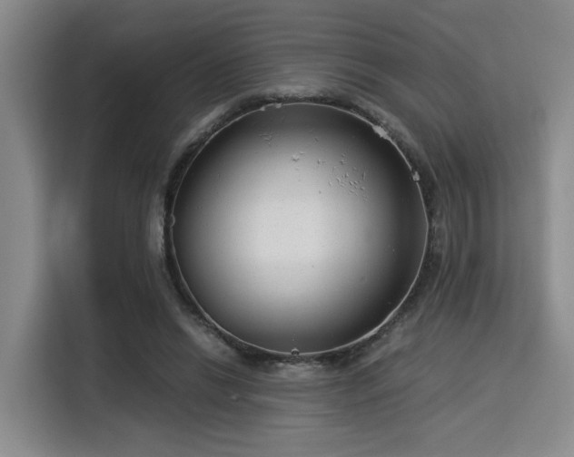 X0000115820446200911201448