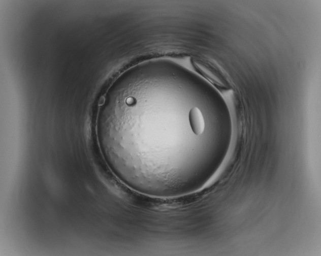 X0000115820447200911201448