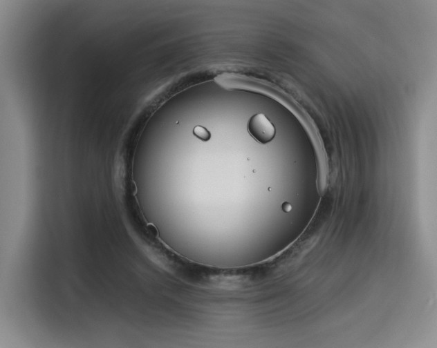 X0000115820448200911201448