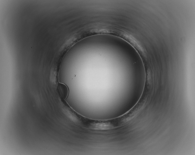 X0000115820449200911201448