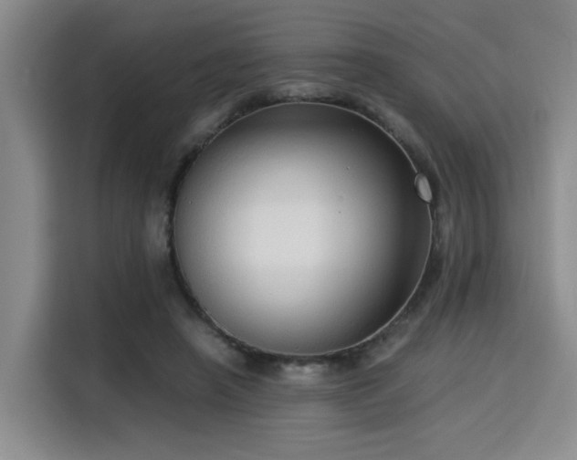 X0000115820450200911201448