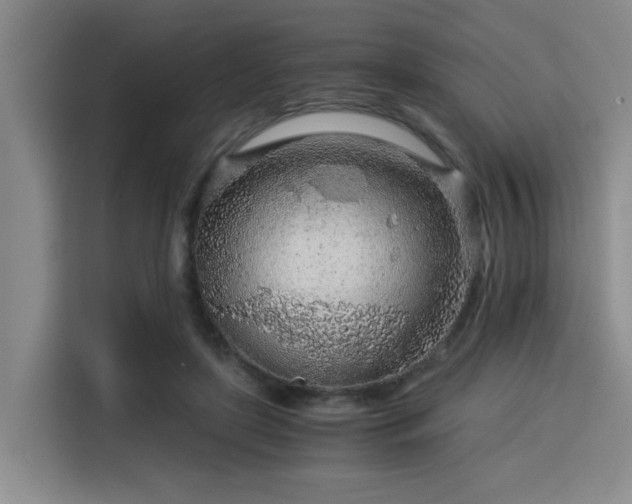 X0000115820451200911201448