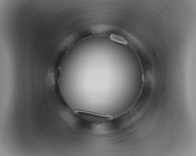 X0000115820452200911201448