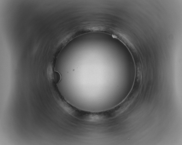 X0000115820453200911201448