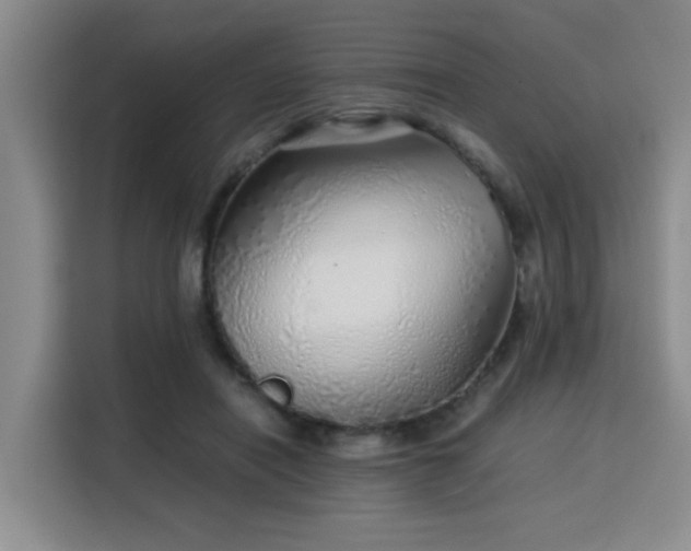 X0000115820454200911201448