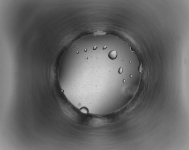 X0000115820455200911201448