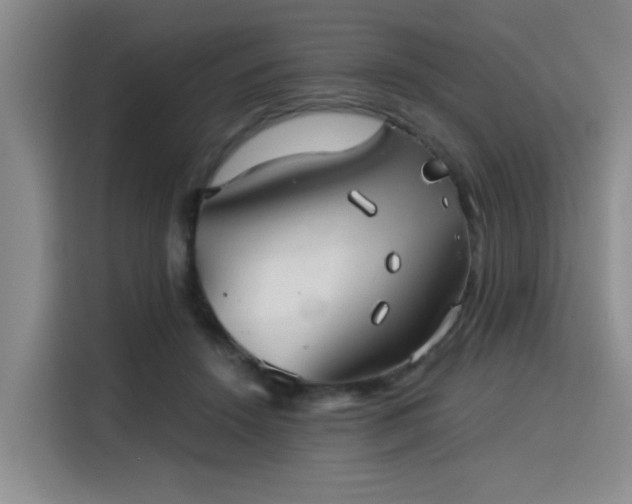 X0000115820456200911201448