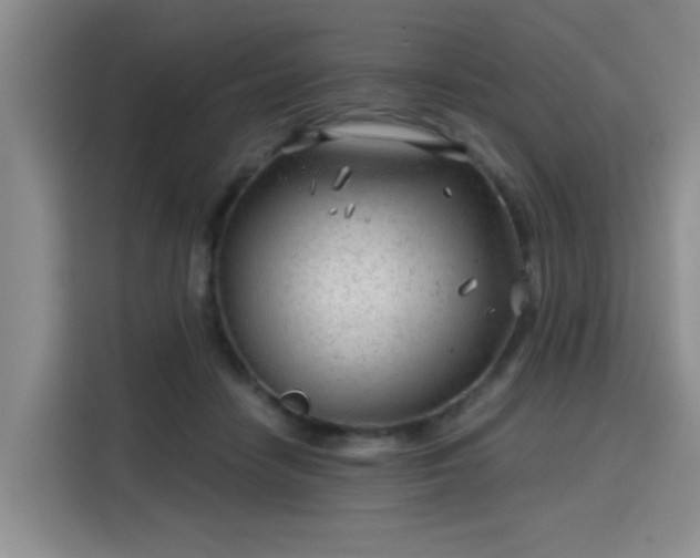 X0000115820458200911201448