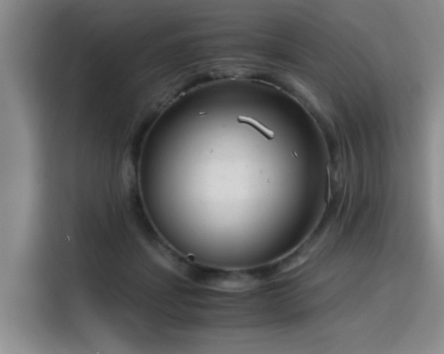 X0000115820459200911201448