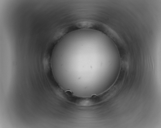 X0000115820460200911201448