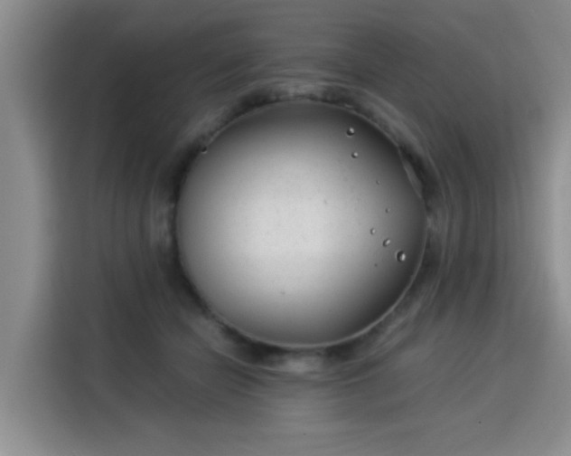 X0000115820462200911201448