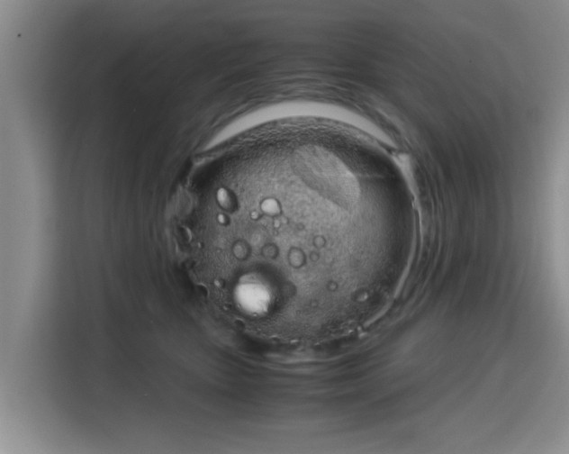 X0000115820467200911201448