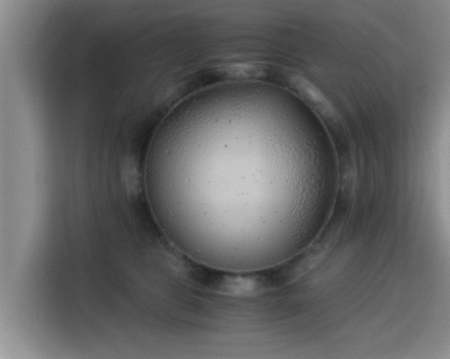 X0000115820469200911201448