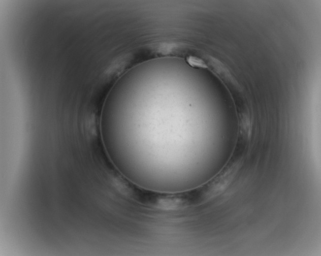 X0000115820470200911201448