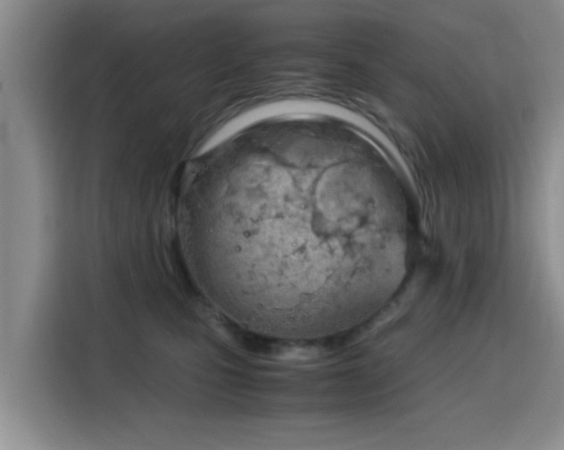 X0000115820471200911201448