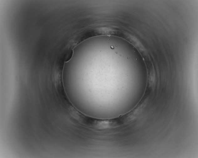 X0000115820473200911201448