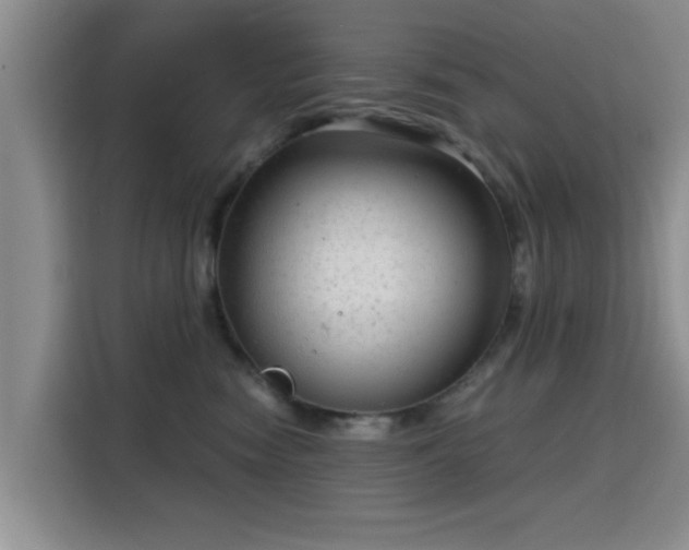 X0000115820474200911201448